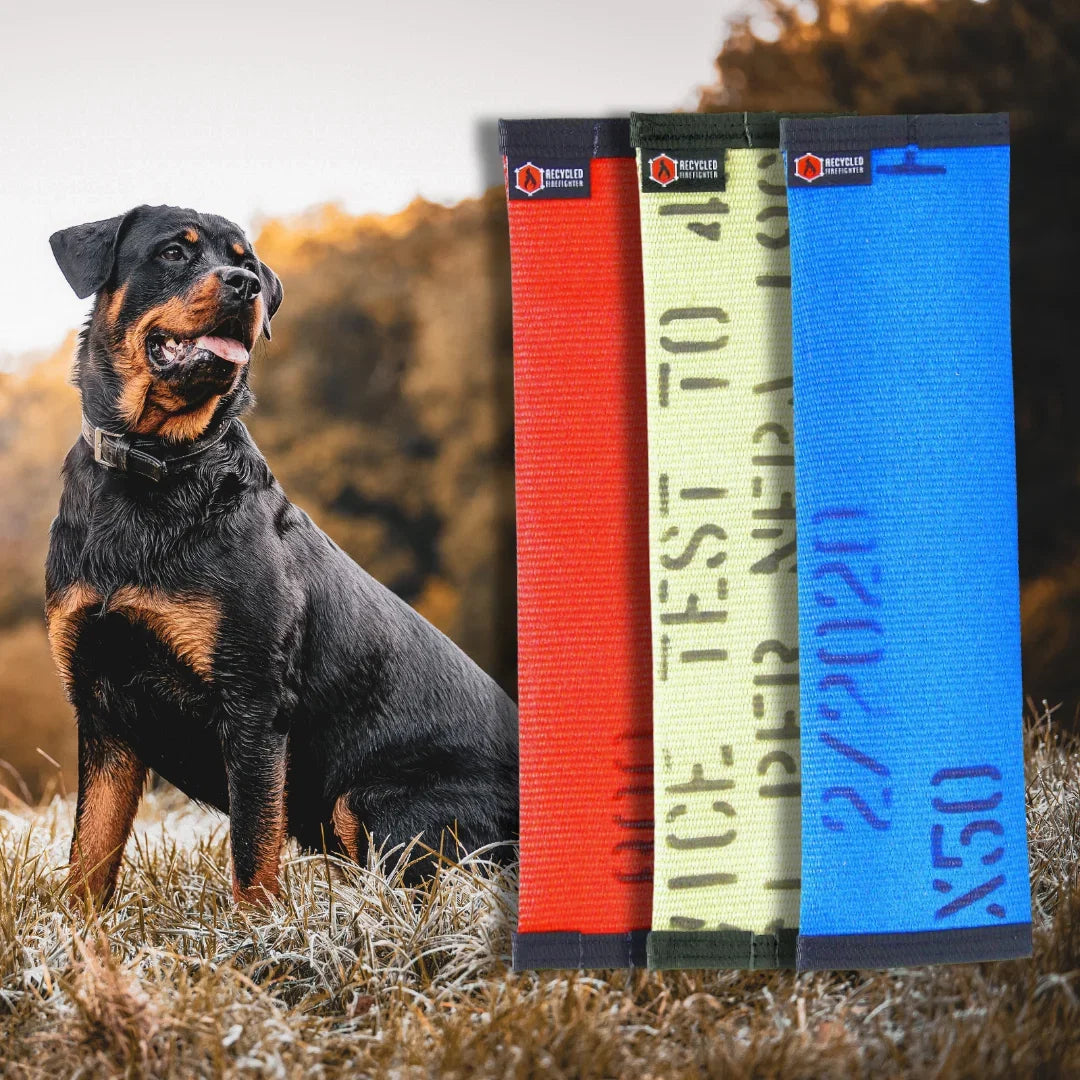 Recycled Fire Hose Dog Fetch Toy - Regular | Purrfect Pet Kingdom