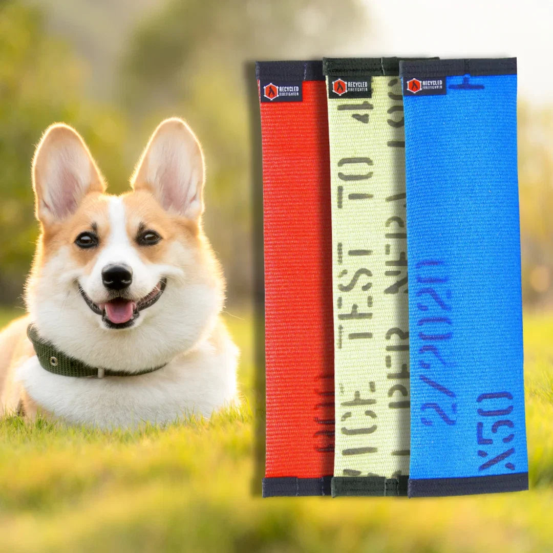 Recycled Fire Hose Dog Fetch Toy - Regular | Purrfect Pet Kingdom
