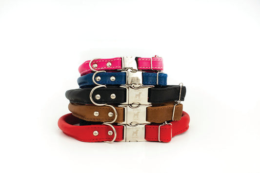 Rolled Leather Quick-Release Dog Collar Premium Quality