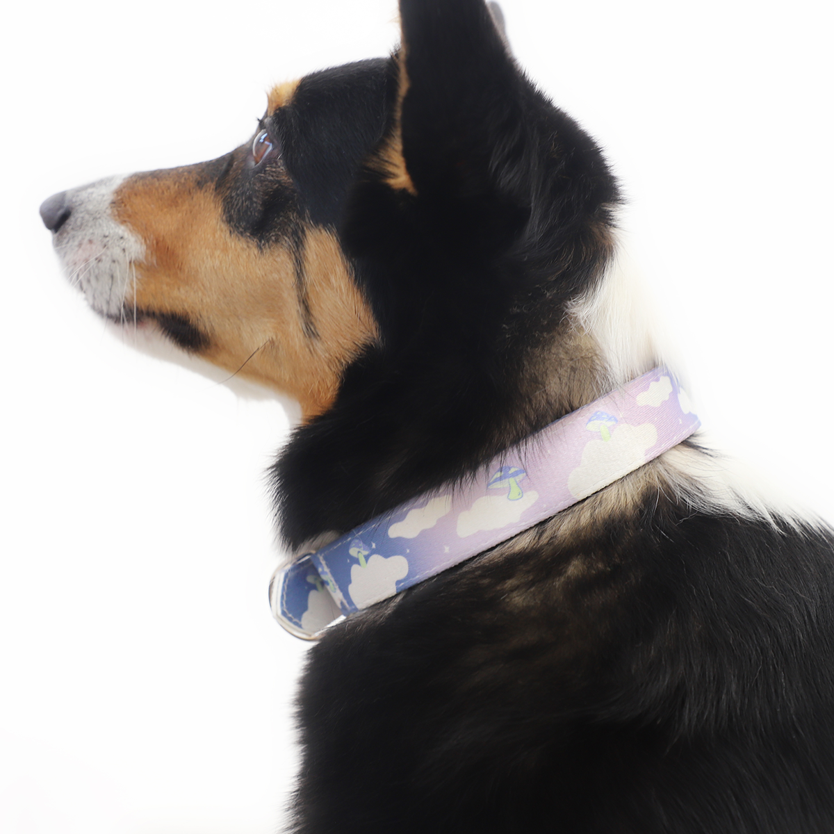 Ruby Ergonomic Walking Harness Premium Design | Majestic Pet Kingdom™