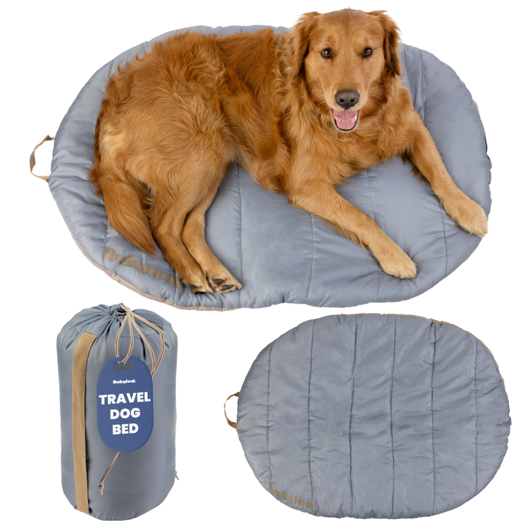 Travel Dog Bed - Foldable & Packable for Travel, Road Trip, Camping - Majestic Pet Kingdom