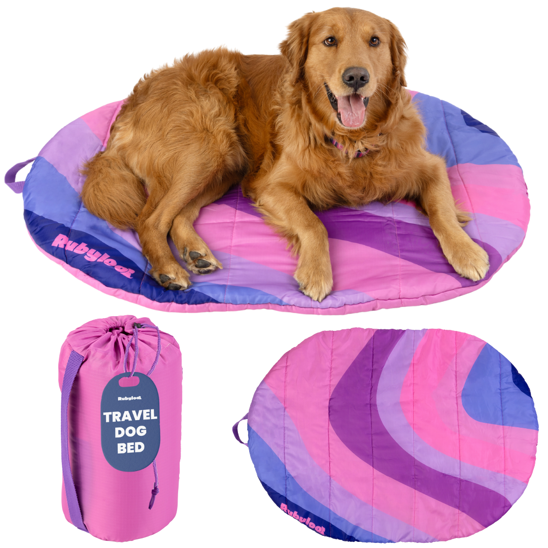Travel Dog Bed - Foldable & Packable for Travel, Road Trip, Camping - Majestic Pet Kingdom