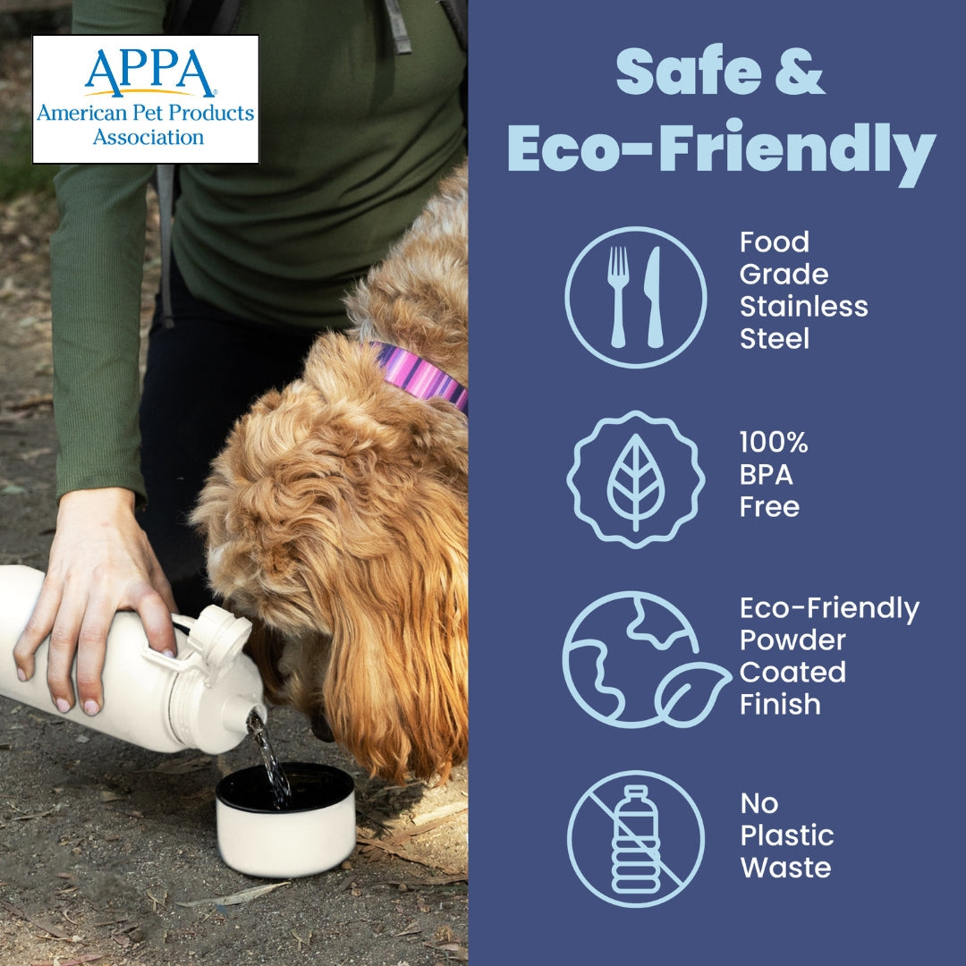 Dog + Human Water Bottle with Detachable Dog Bowl - Majestic Pet Kingdom
