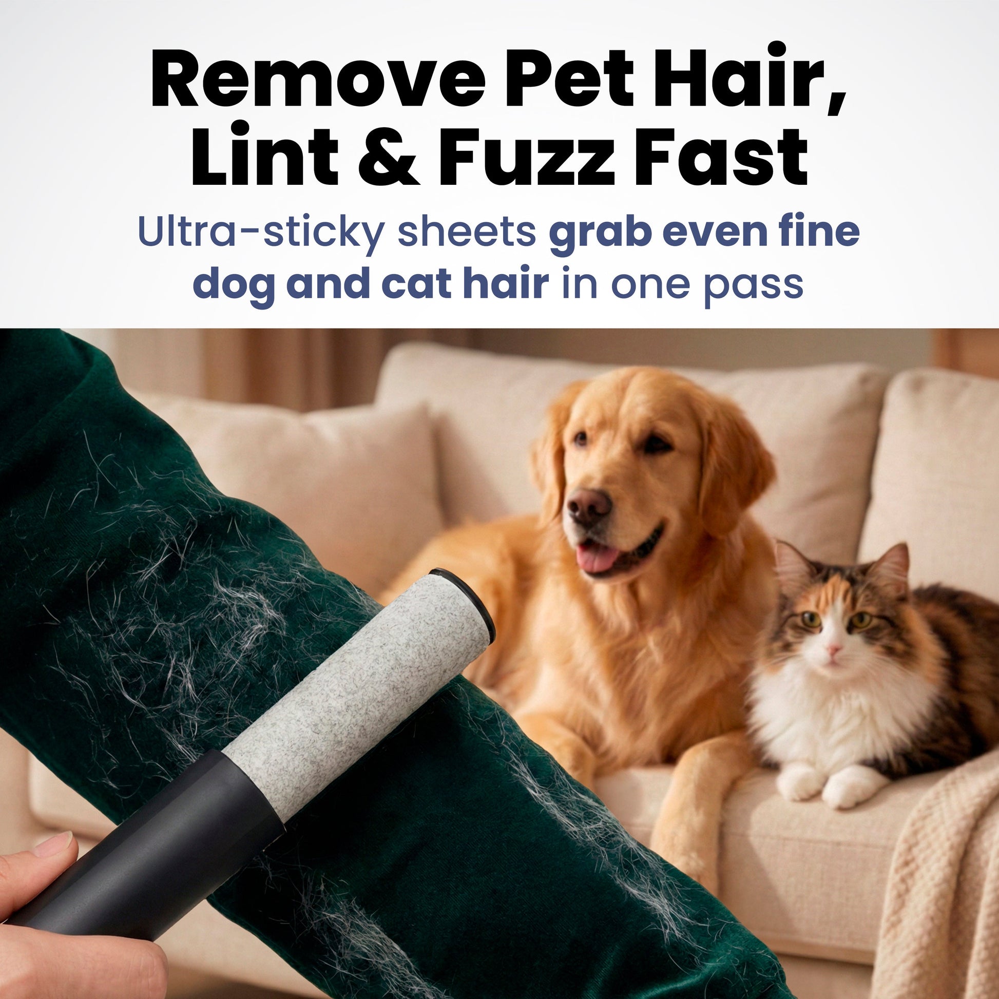 Retractable Mini Lint Roller for Pet Hair with 2 Refills | Purrfect Pet Kingdom
