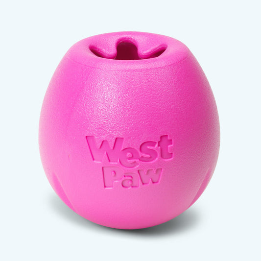 Rumbl Treat Dispensing Puzzle Dog Toy | Zogoflex Echo