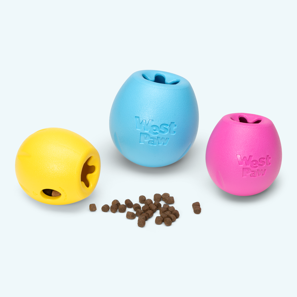 Rumbl Treat Dispensing Puzzle Dog Toy | Zogoflex Echo