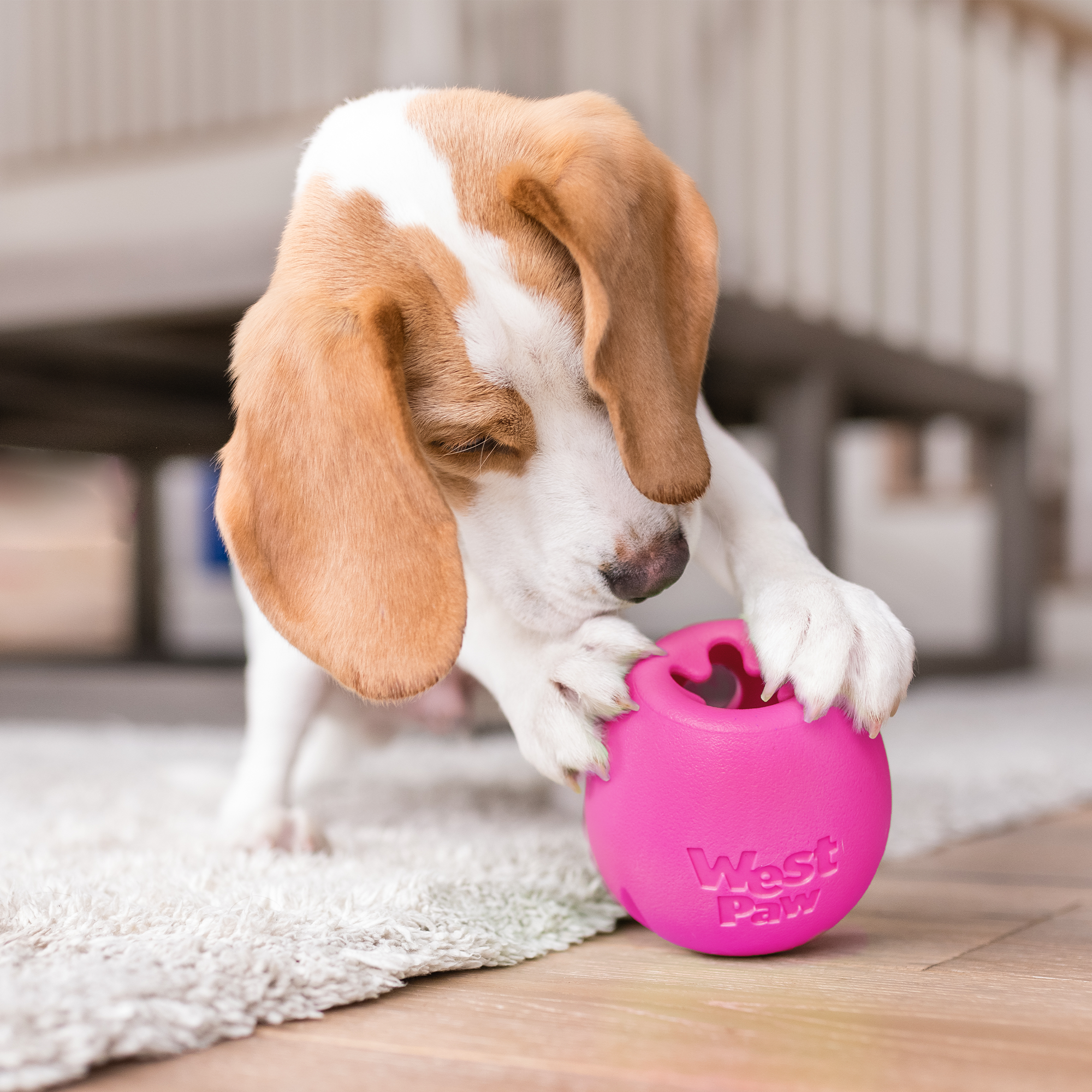 Rumbl Treat Dispensing Puzzle Dog Toy | Zogoflex Echo
