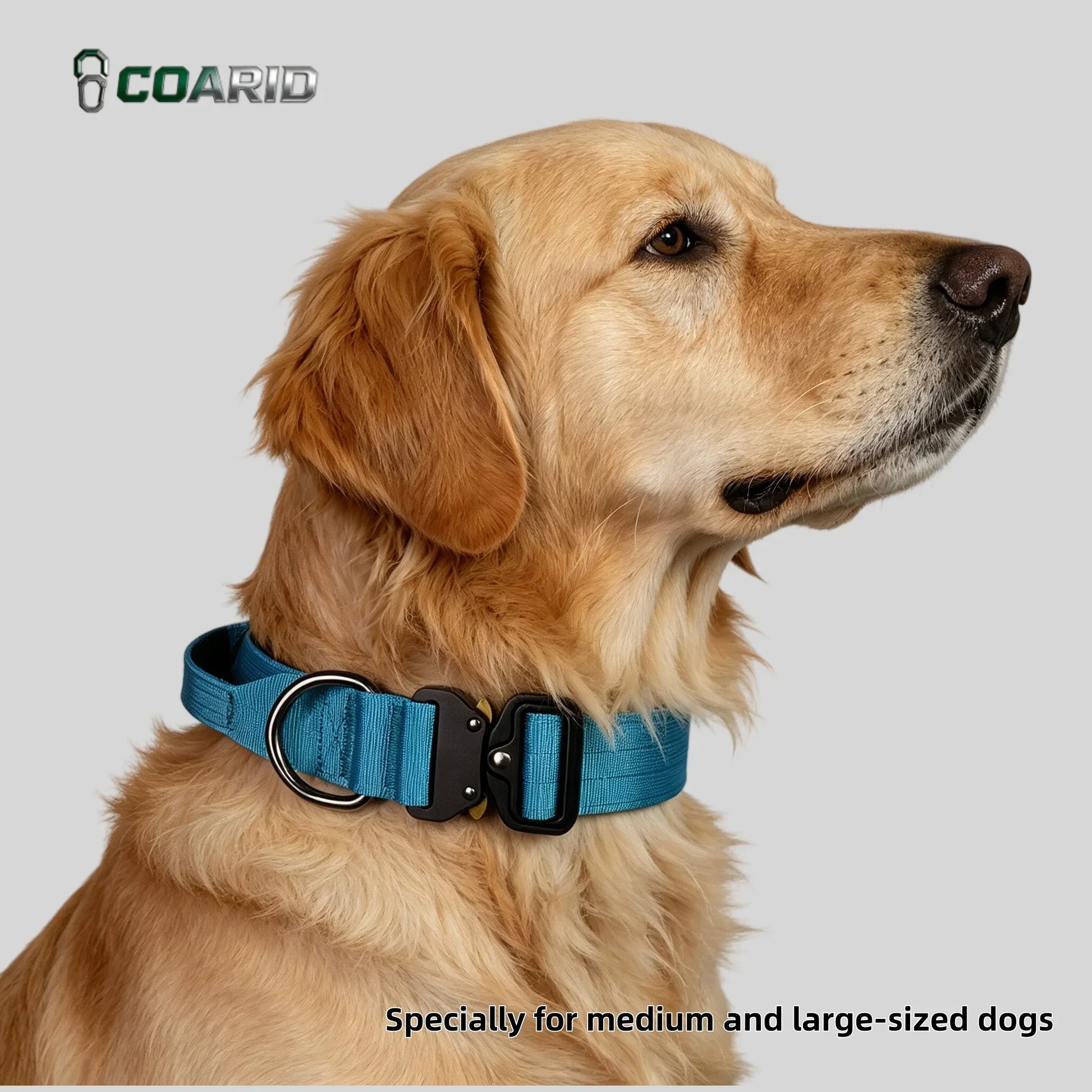 Padded Tactical Dog Collar Heavy Duty, Soft Neoprene Adjustable Nylon | Majestic Pet Kingdom™