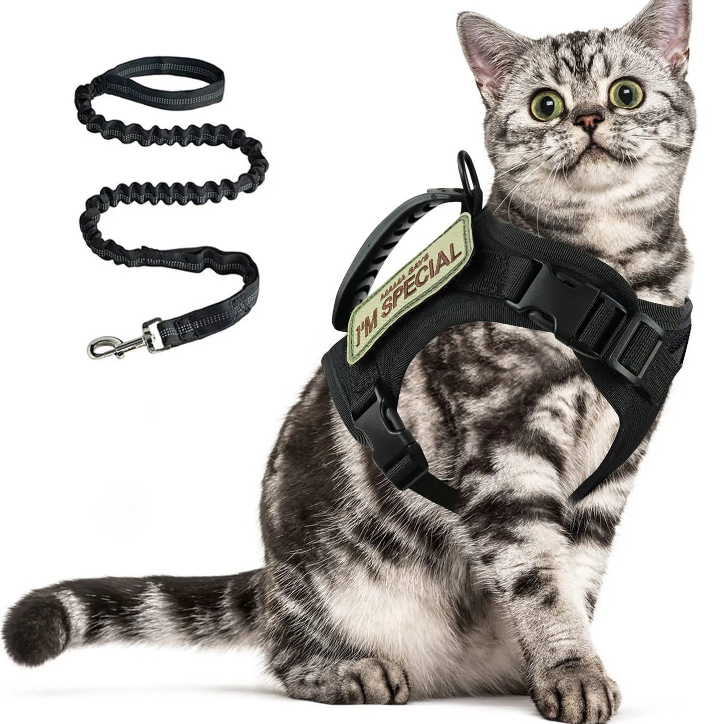 Tactical Cat Harness For Walking Escape Proof Adjustable Pet Vest | Majestic Pet Kingdom™