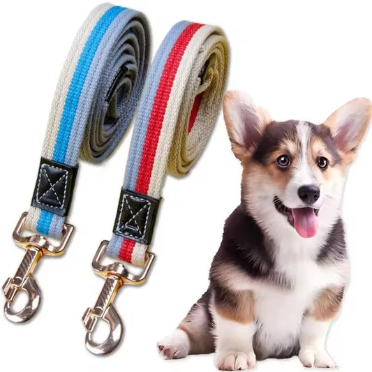 Dog Walking Leash Durable Canvas Training Lead Strap 2-Pack - Main Feature View | Majestic Pet Kingdom