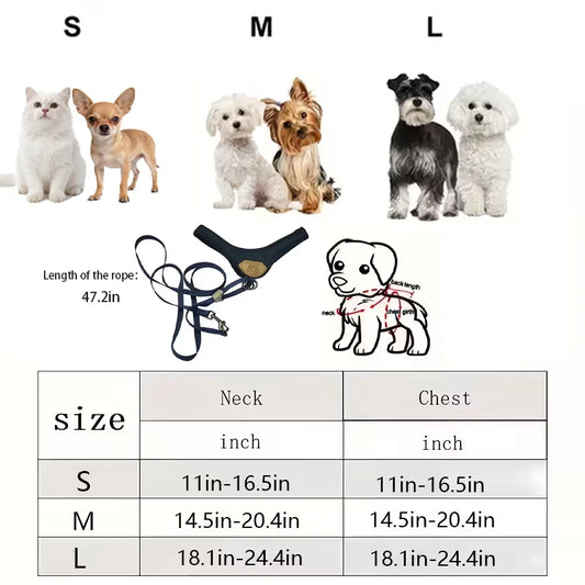 Dog Harness and Leash Set Adjustable Puppy Walking Vest Set - Detail Angle 2 | Majestic Pet Kingdom