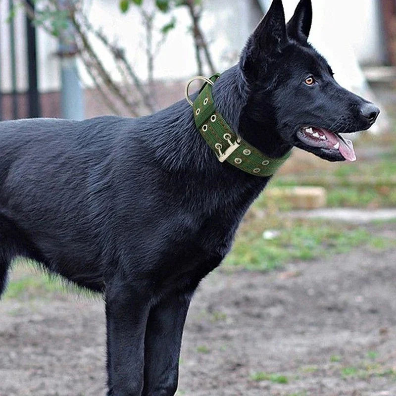 Heavy Duty Wide Military Thick Dog Collars for Large Dogs Adjustable Strong Nylon Tactical Pet Collar with 2-Rows Metal Buckle - Army green | Purrfect Pet Kingdom