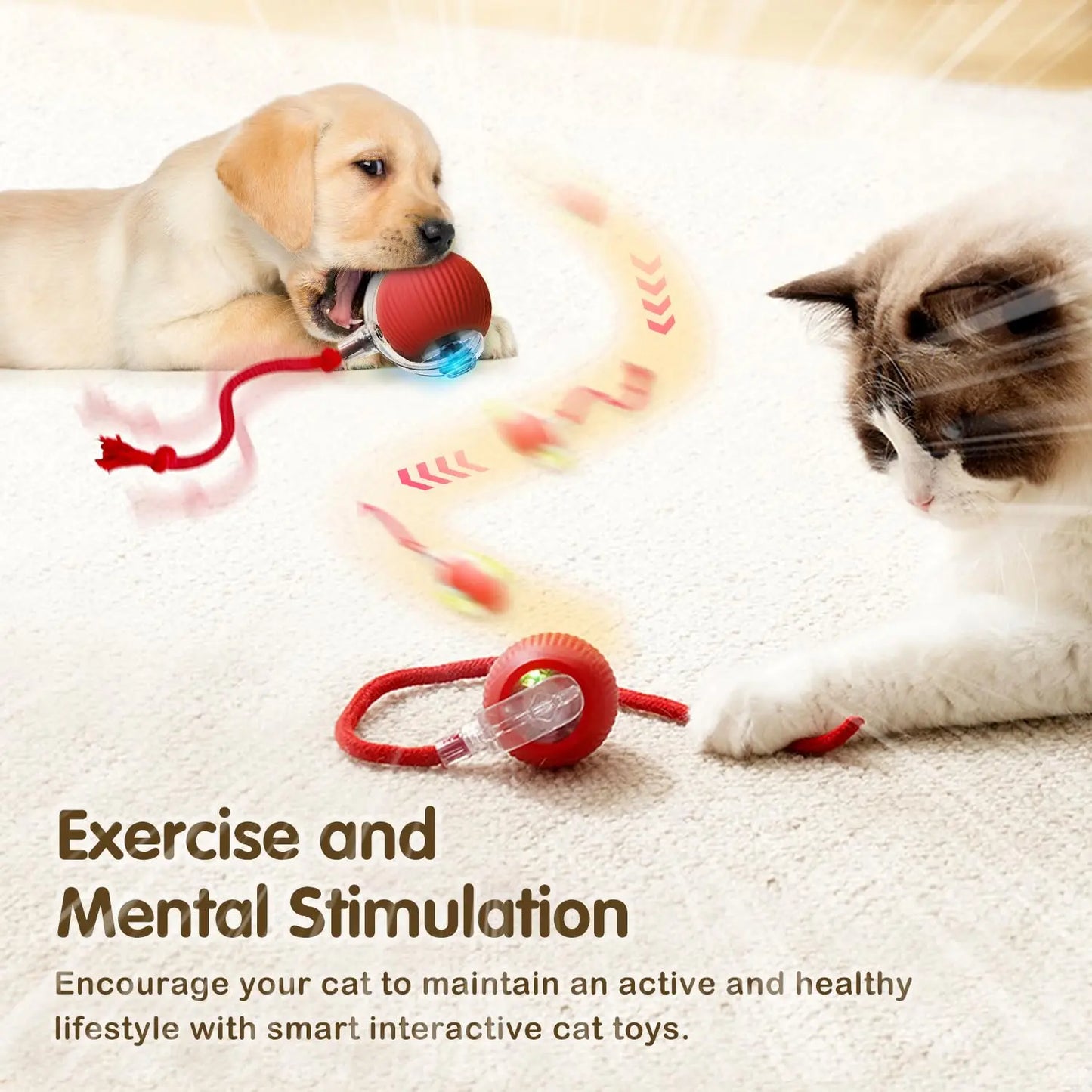 Interactive Smart Cat Toy Ball | Automatic Rolling Ball with Obstacle Avoidance