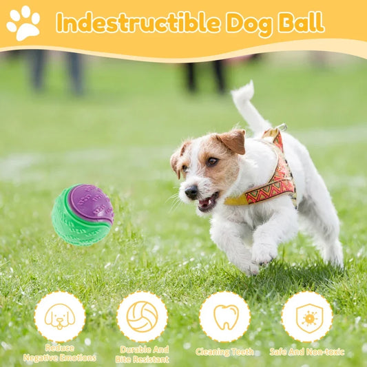 Dog Ball Toys TPR Squeaky Dental Teething Fetch Balls 6-Pack