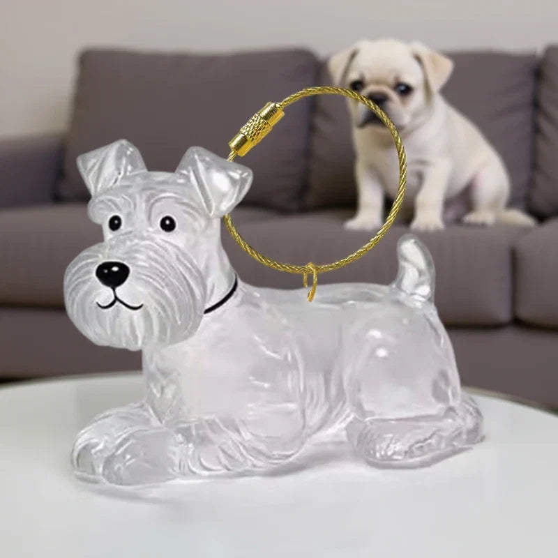 Pet Fur Keepsake Capsule Keychain | Clear Dog Hair Memorial Pendant for Pet Lovers