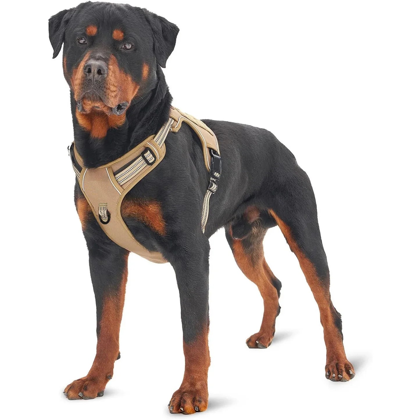 Military Tactical Dog Harness No Pull Large Reflective Straps Durable Vest with Control Handle - PURPLE | Purrfect Pet Kingdom