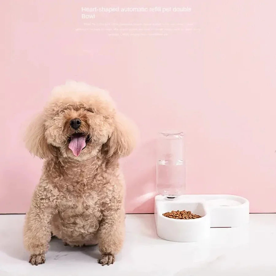Cat bowl and dog bowl double-bowl automatic water dispenser and food bowl, automatic water dispenser for dogs and cats - WHITE | Purrfect Pet Kingdom
