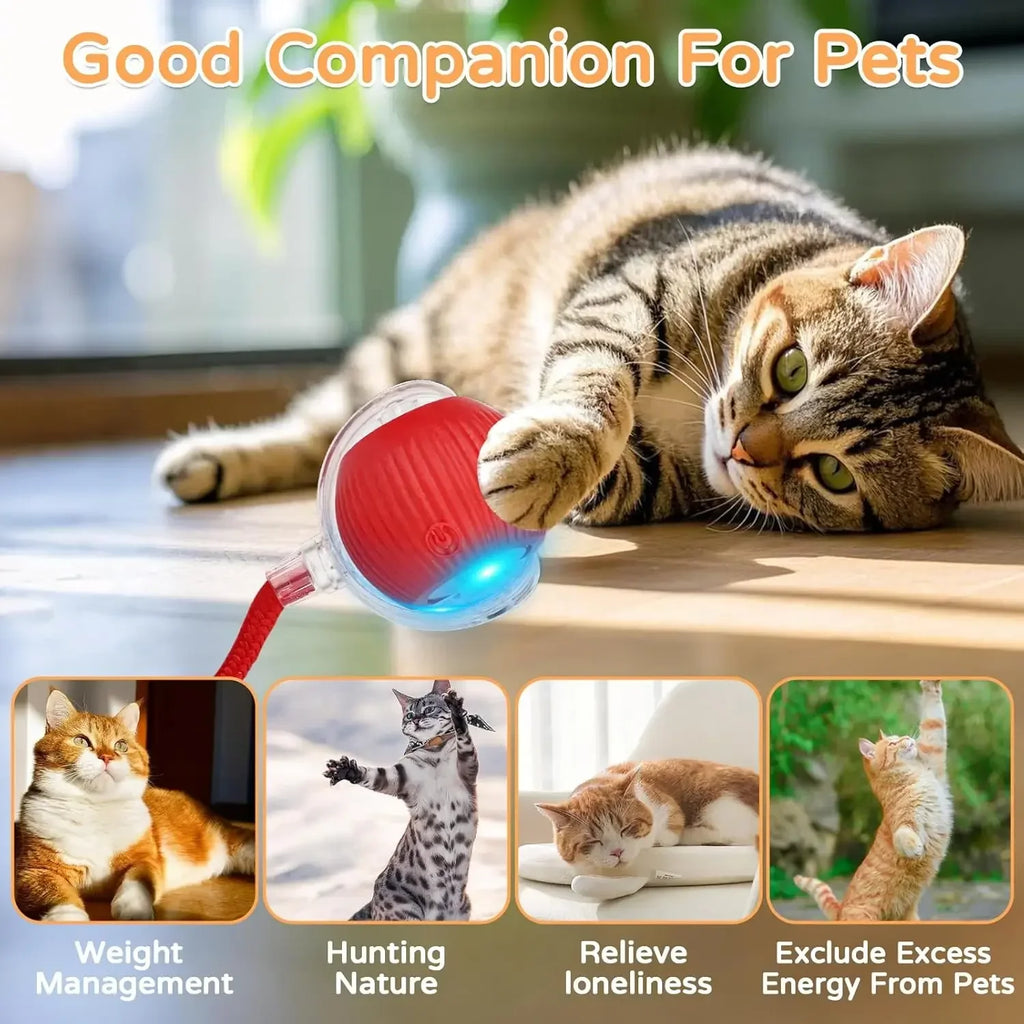 iLMH 1/2 PCS Cat Interactive Ball Toy Automatic Rolling Ball Faux Tail Rechargeable Smart Pet Electric Toy Pet Toy Imitate Mouse - Majestic Pet Kingdom