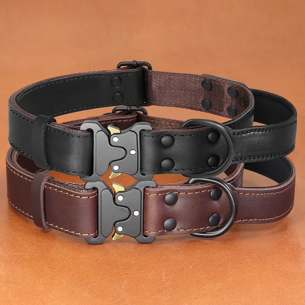 Real Leather Dog Collar With Handle Tactical Military Dog Leather Collar For Medium Large Dogs German Shepherd Training Hunting - Black | Purrfect Pet Kingdom