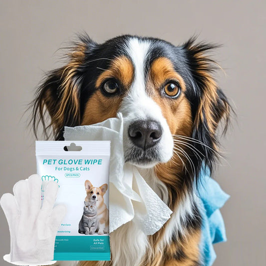 Luxury Pet Essentials - Purrfect Pet Kingdom™