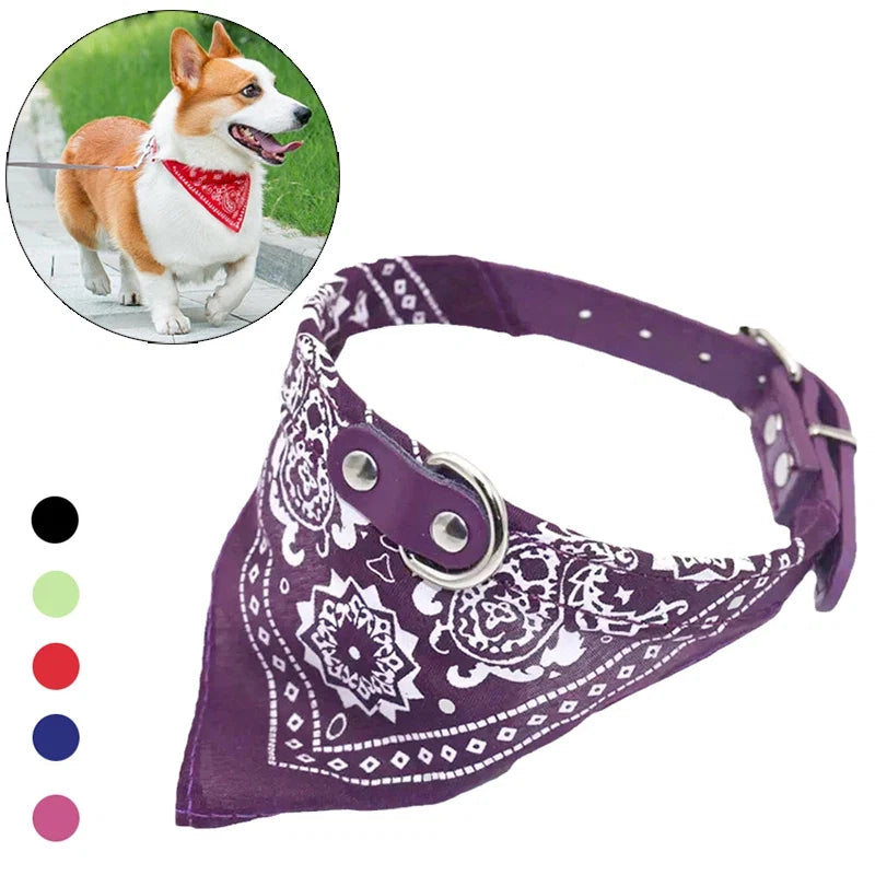 Majestic Pet Kingdom - Adjustable PU Dog Cat Collar with Detachable Scarf | Pet Accessories for Small Medium Dogs and Cats View 1
