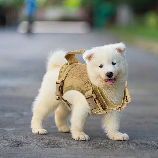 Tactical Puppy Harness Vest Adjustable Military Training Set - Main Feature View | Majestic Pet Kingdom