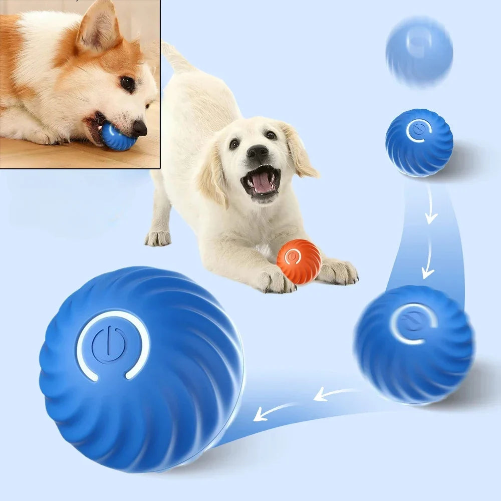 Dog Toy Ball Automatic Moving Bouncing Rolling Ball USB Smart Puppy | Majestic Pet Kingdom™
