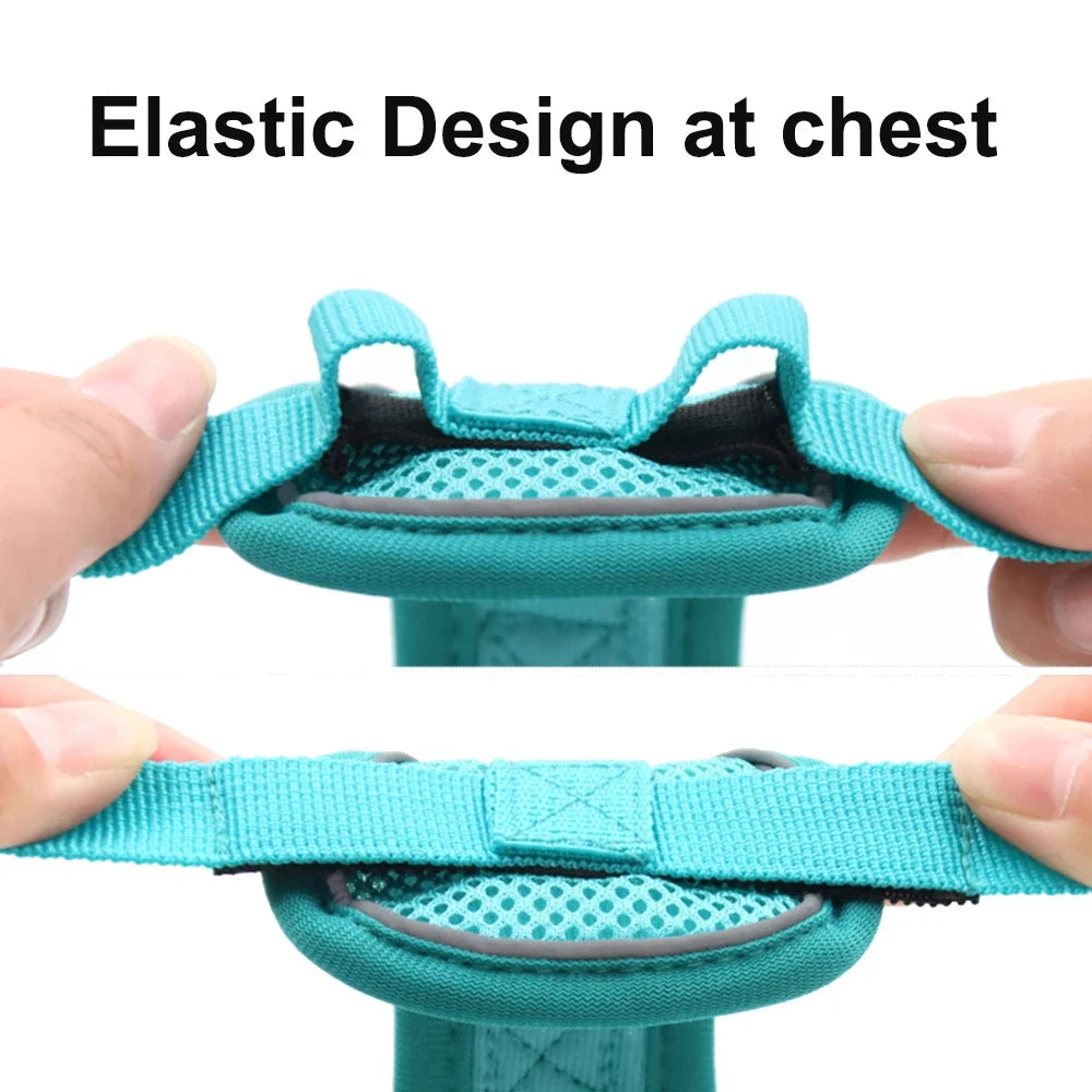 Pet Dog Leash Harness Tactical Training Puppy Vest Harnesses For Small Medium Dogs Cats Reflective Pug Chest Strap Accessories - Turquoise | Purrfect Pet Kingdom