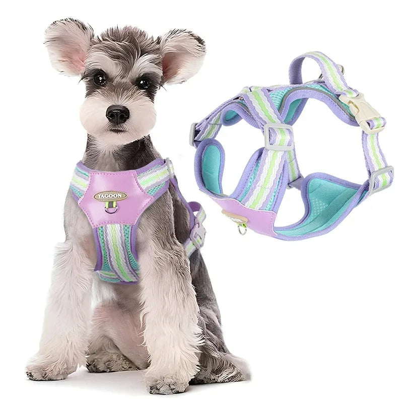 Dog Collars Leash Pet Collar Big Harness Tactical Vest Supplies Pets Dogs Things Small Accessories Cats Puppy Chest Products