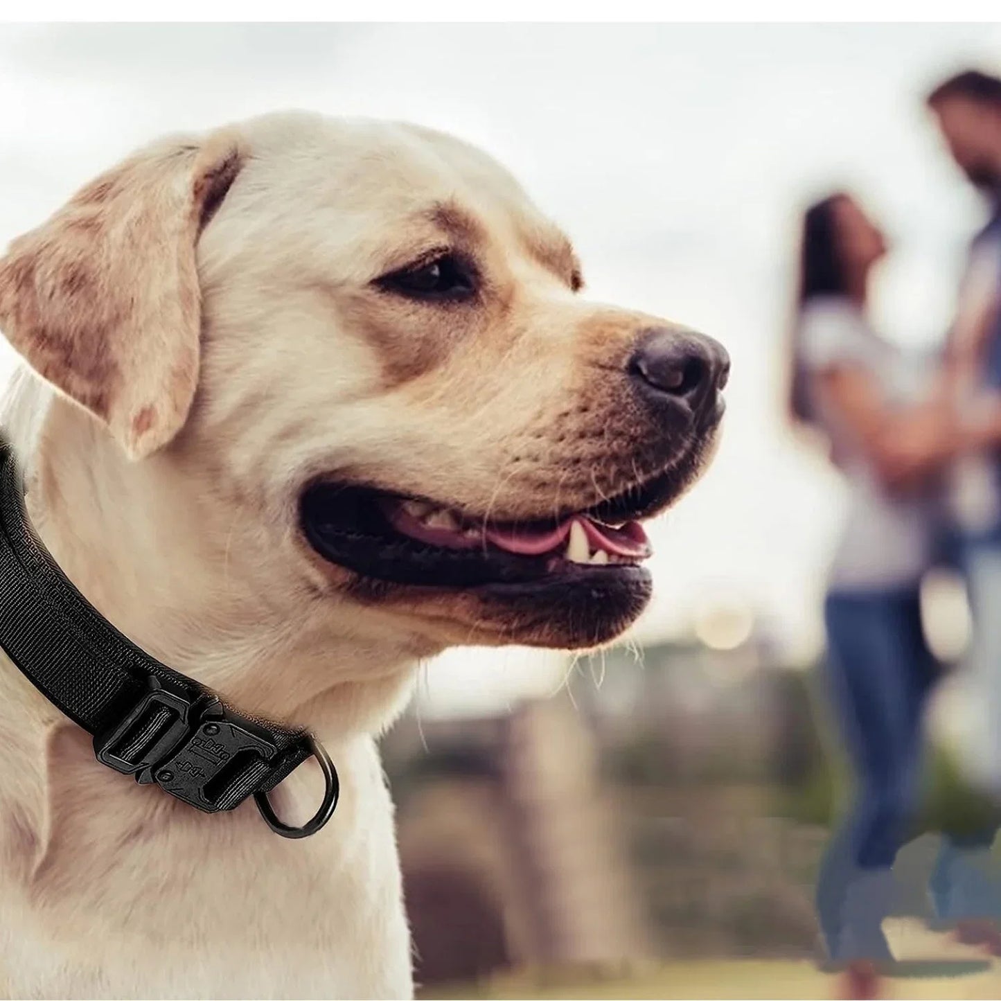 Tactical Dog Collar Adjustable Military Nylon Dog Collar with Control Handle Heavy Duty Metal Buckle for Medium Large Dogs - brown and black | Purrfect Pet Kingdom