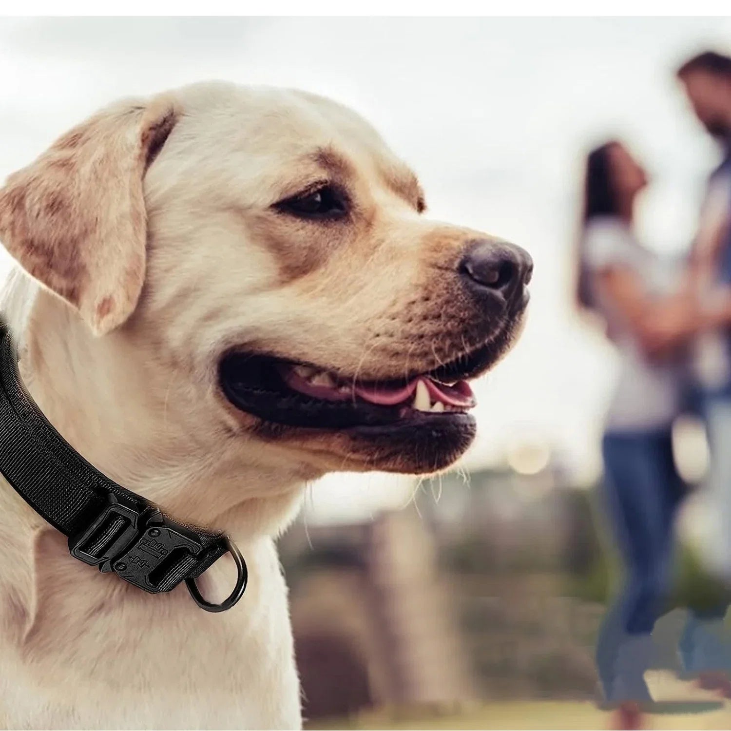 Tactical Dog Collar Adjustable Military Nylon Dog Collar with Control Handle Heavy Duty Metal Buckle for Medium Large Dogs - brown and black | Purrfect Pet Kingdom