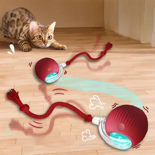 Intelligent Interactive Cat Ball Long-Lasting and Durable Easy to | Majestic Pet Kingdom™