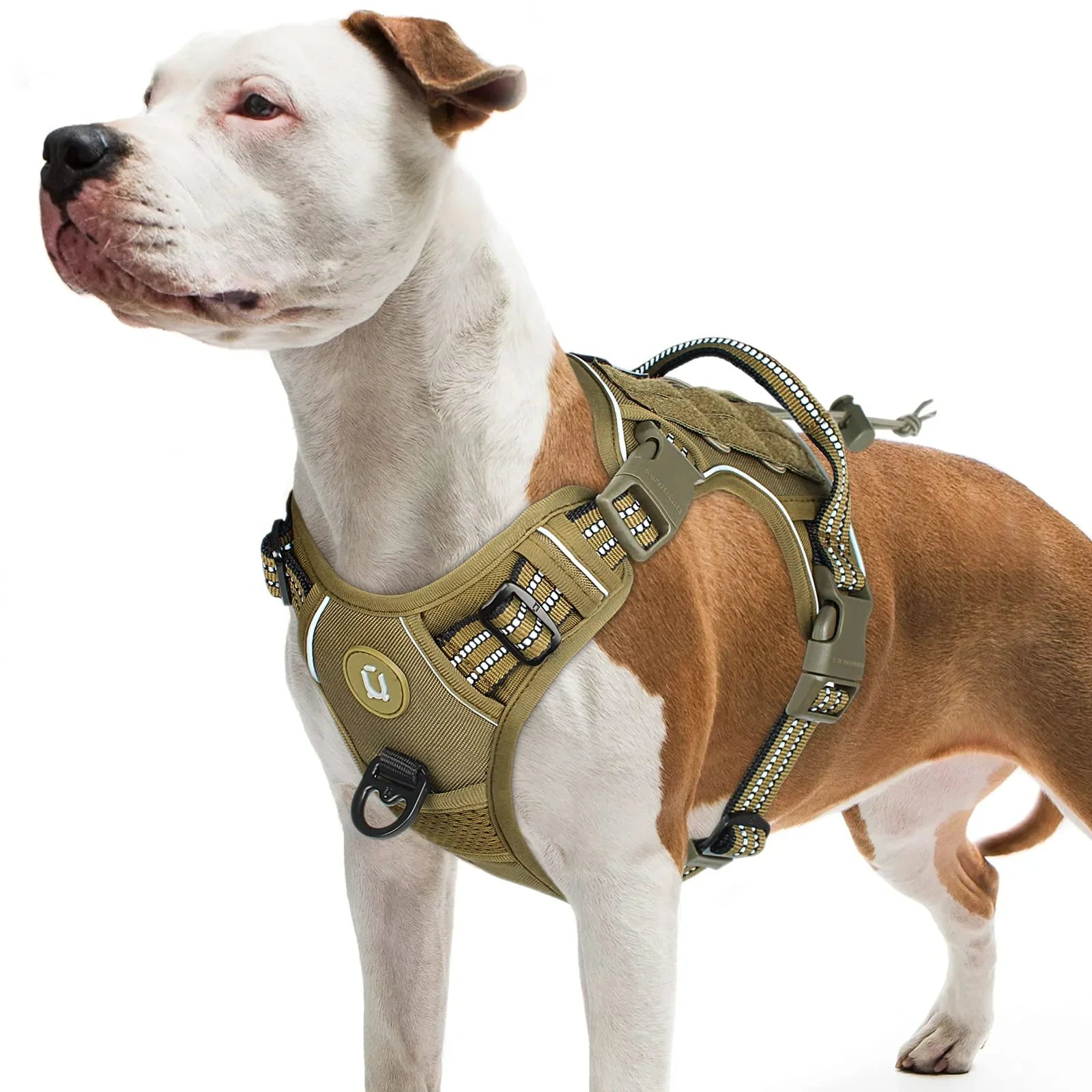 Tactical Dog Harness, No Pull Dog Harness, Adjustable Breathable MOLLE | Majestic Pet Kingdom™