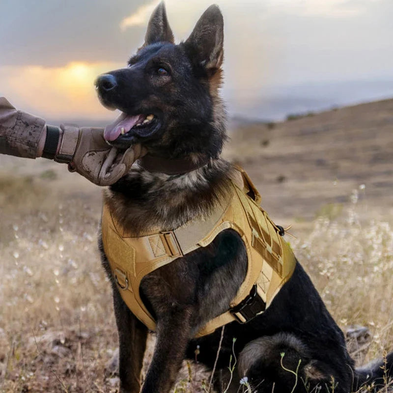 Tactical Dog Vest Harness No Pull Comfortable Adjustable Pet Harness For Medium Large Dog Military Training With Handle Labrador | Purrfect Pet Kingdom