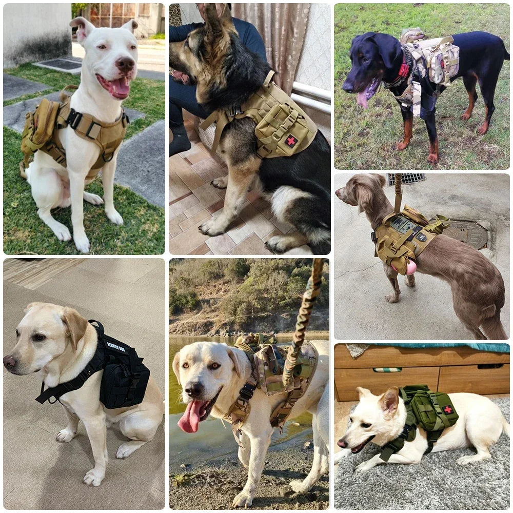 Tactical Vest Pet German Shepherd Golden Retriever Tactical Training Dog Harness and Leash Set For All Breeds Dogs - CM Harness Leash | Purrfect Pet Kingdom