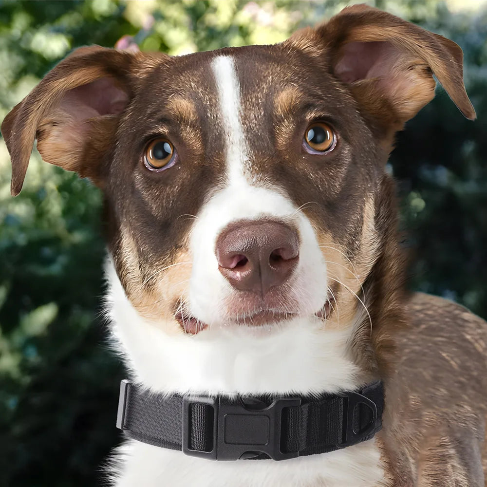 Large Medium Dog Tactical Collar High Strength Tensile Explosion-Proof Pet Collar Outdoor Training Supplies for Canines - Khaki | Purrfect Pet Kingdom