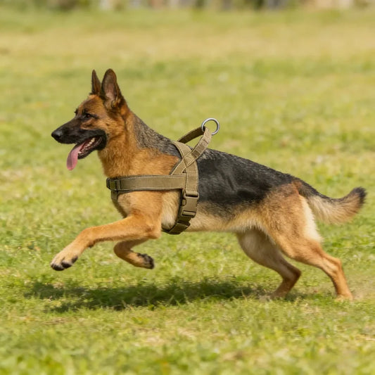 Dog Harness Tactical Large Breed No-Pull Padded Vest Handle