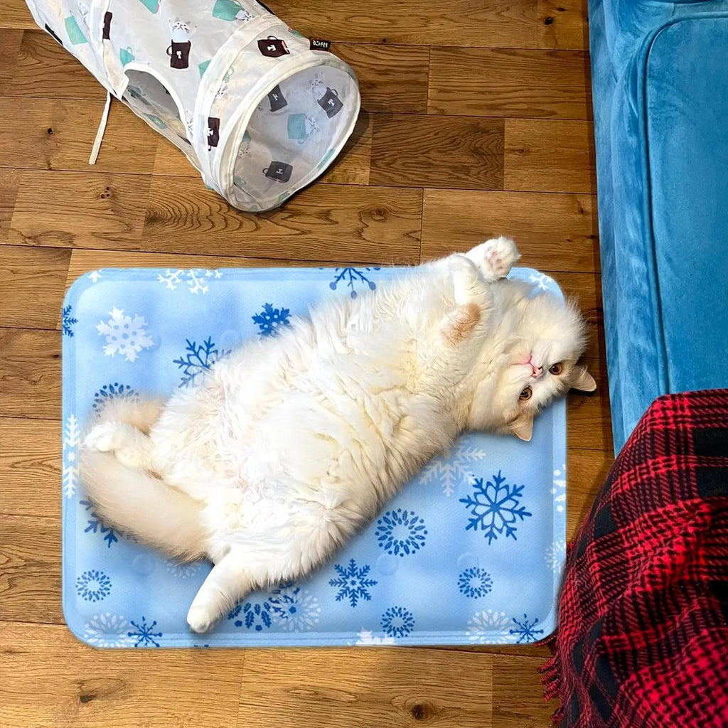 Dog Cooling Mat Dry Ice Water Injection Cool Pet Bed Pad