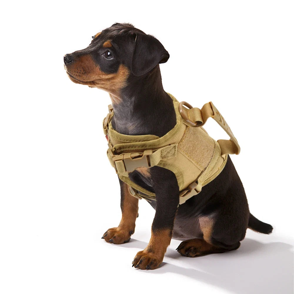 Tactical Small Dog Harness For Puppy Cats Adjustable Kitten Vest Harnesses For Military Dogs Working Training Walking Free Size | Purrfect Pet Kingdom