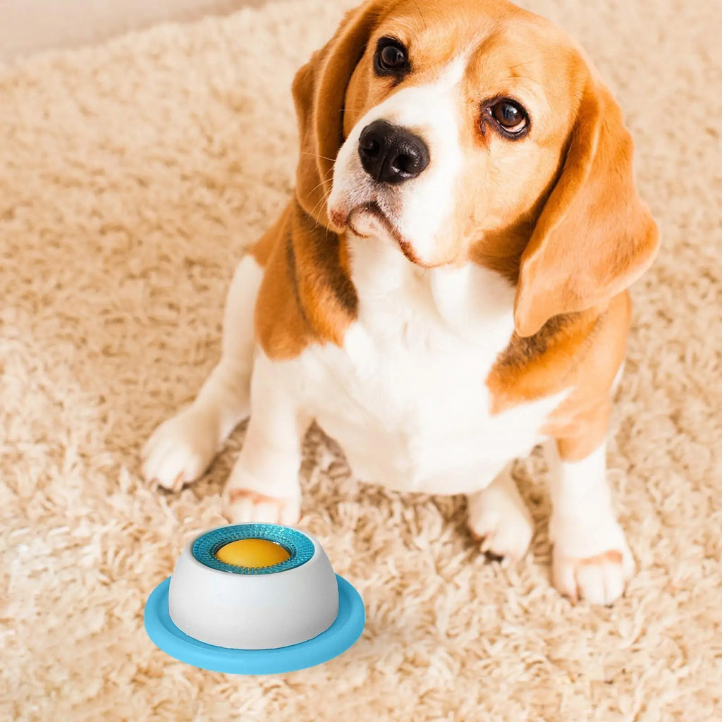 Luxury Pet Essentials - Purrfect Pet Kingdom™