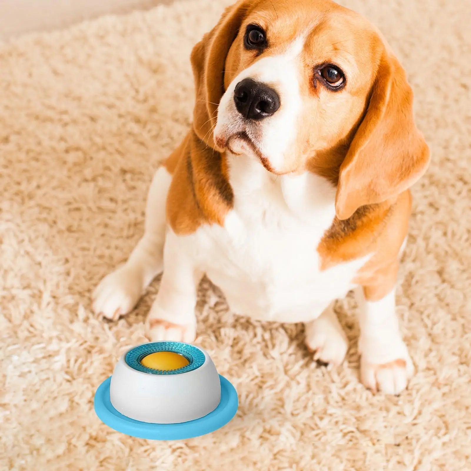 Luxury Pet Essentials - Purrfect Pet Kingdom™