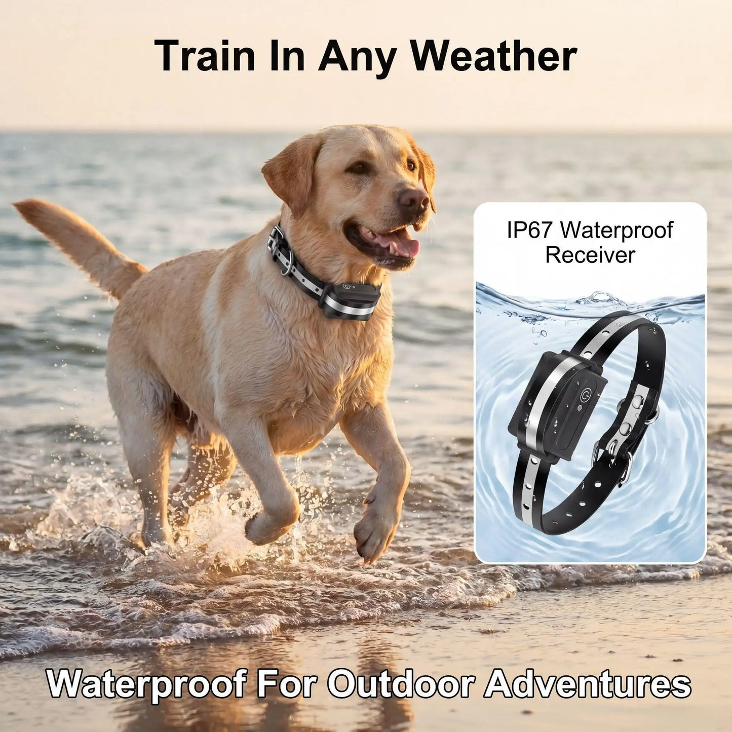 1000m Dog Training Collar IPX7 Waterproof Rechargeable Electric Shock