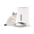 Automatic dog food dispenser with insect-proof seal and timed feeding; 4 meals/10-cup pet food dispenser