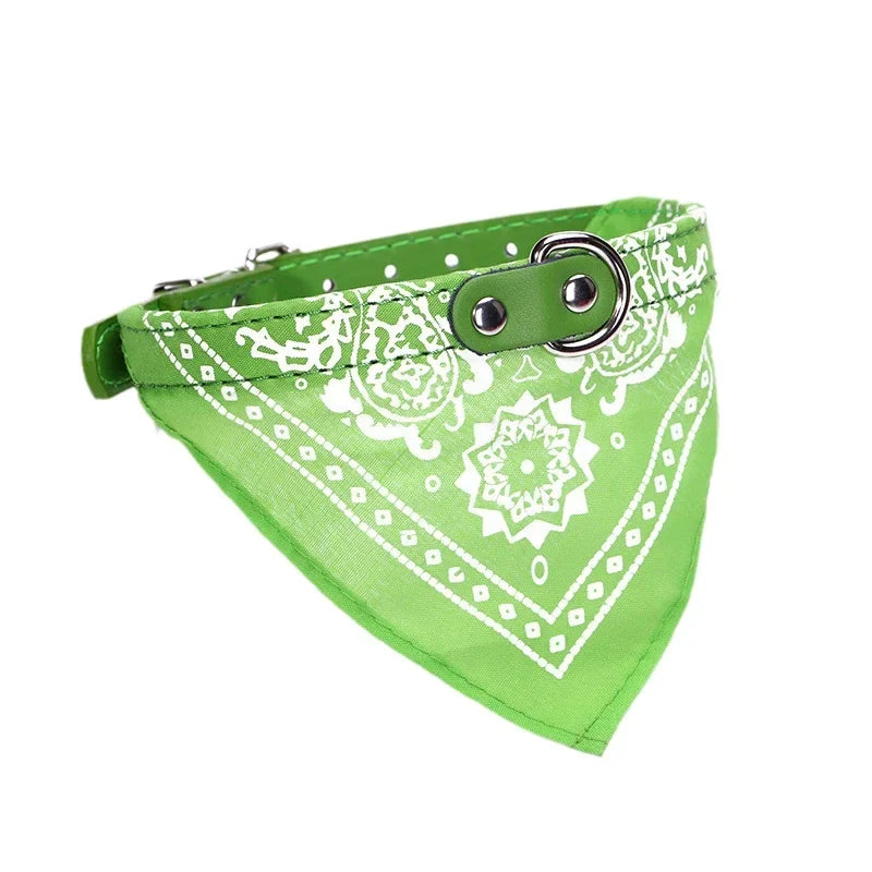 Majestic Pet Kingdom - Adjustable PU Dog Cat Collar with Detachable Scarf | Pet Accessories for Small Medium Dogs and Cats View 10