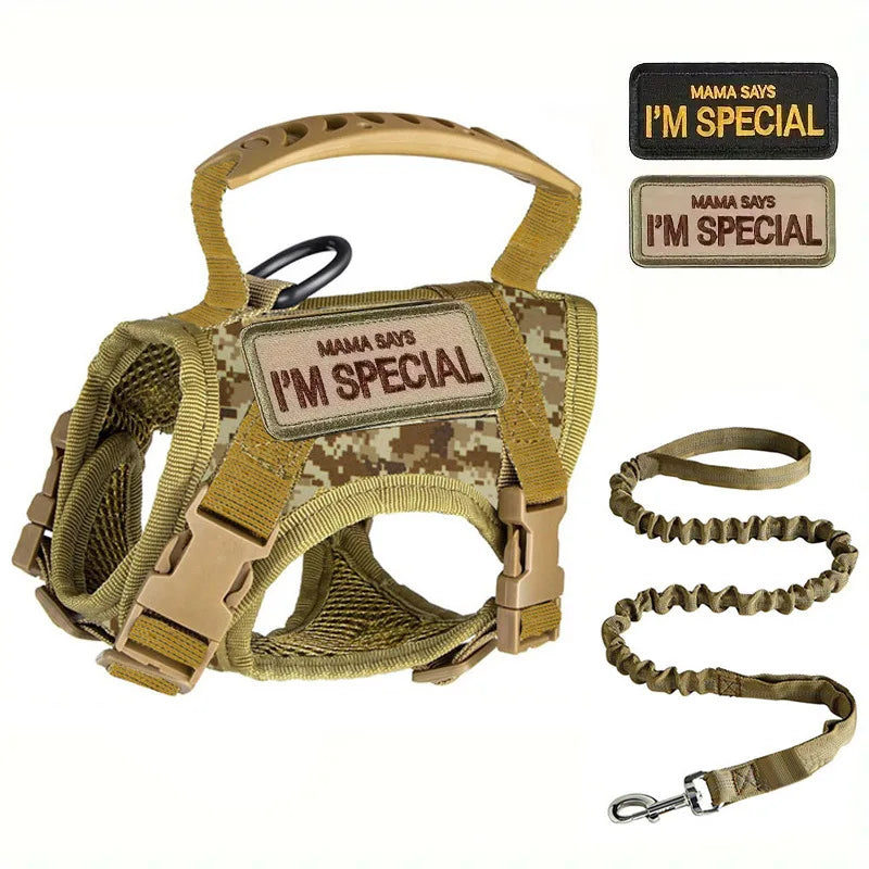 Tactical Military Vest Pet Tactical Training Cat Accessories Cat Dog Harness and Leash Set  Kitten Accessories | Purrfect Pet Kingdom