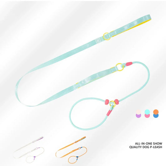 dog-leash-colorful-braided-nylon-ma-royal-heritage-luxury-view-1 | Majestic Pet Kingdom