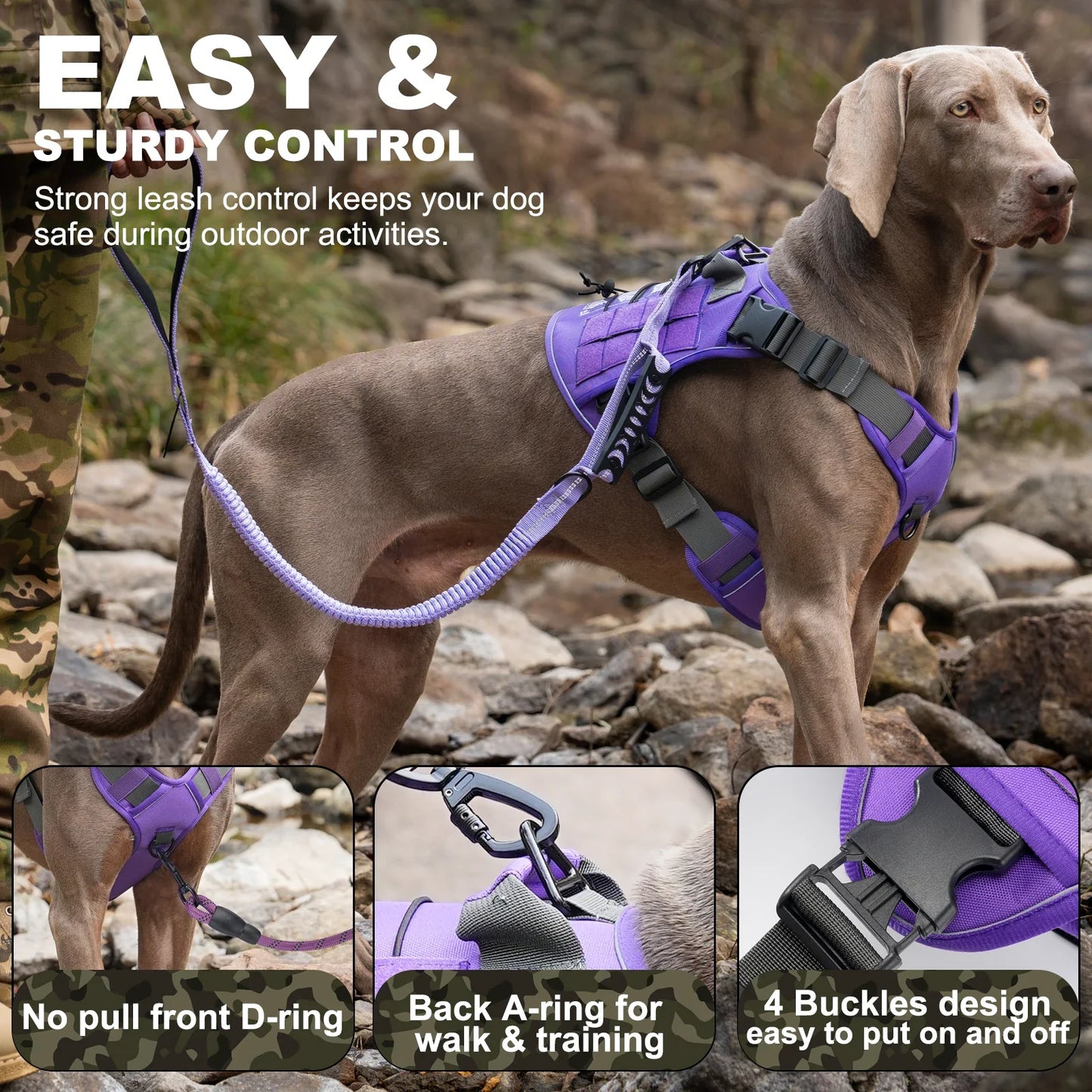 Luxury Pet Essentials - Purrfect Pet Kingdom™