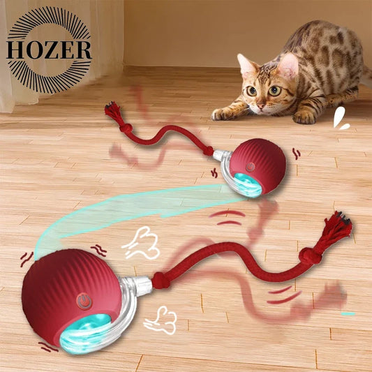interactive-cat-toy-ball-automatic-motion-sensor-rolling-toy-luxury-view-1 | Majestic Pet Kingdom