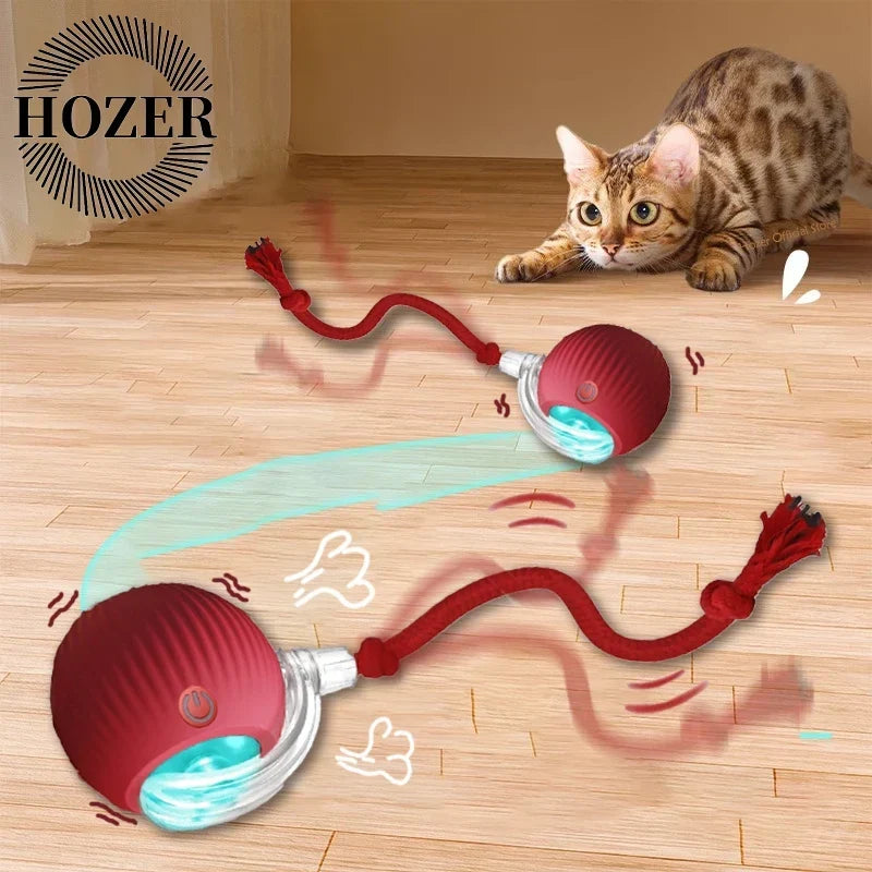 Interactive Cat Ball | Automatic Rolling Toy with Motion