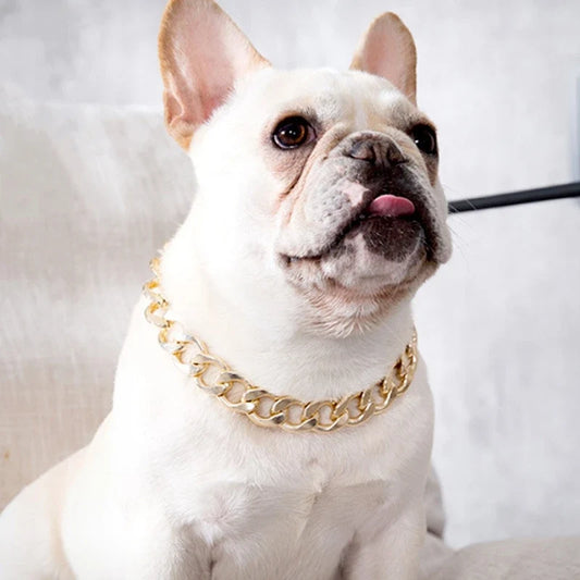 Dog Cuban Chain Collar Gold Plated Fashion Jewelry Choker - Detail Angle 2 | Majestic Pet Kingdom